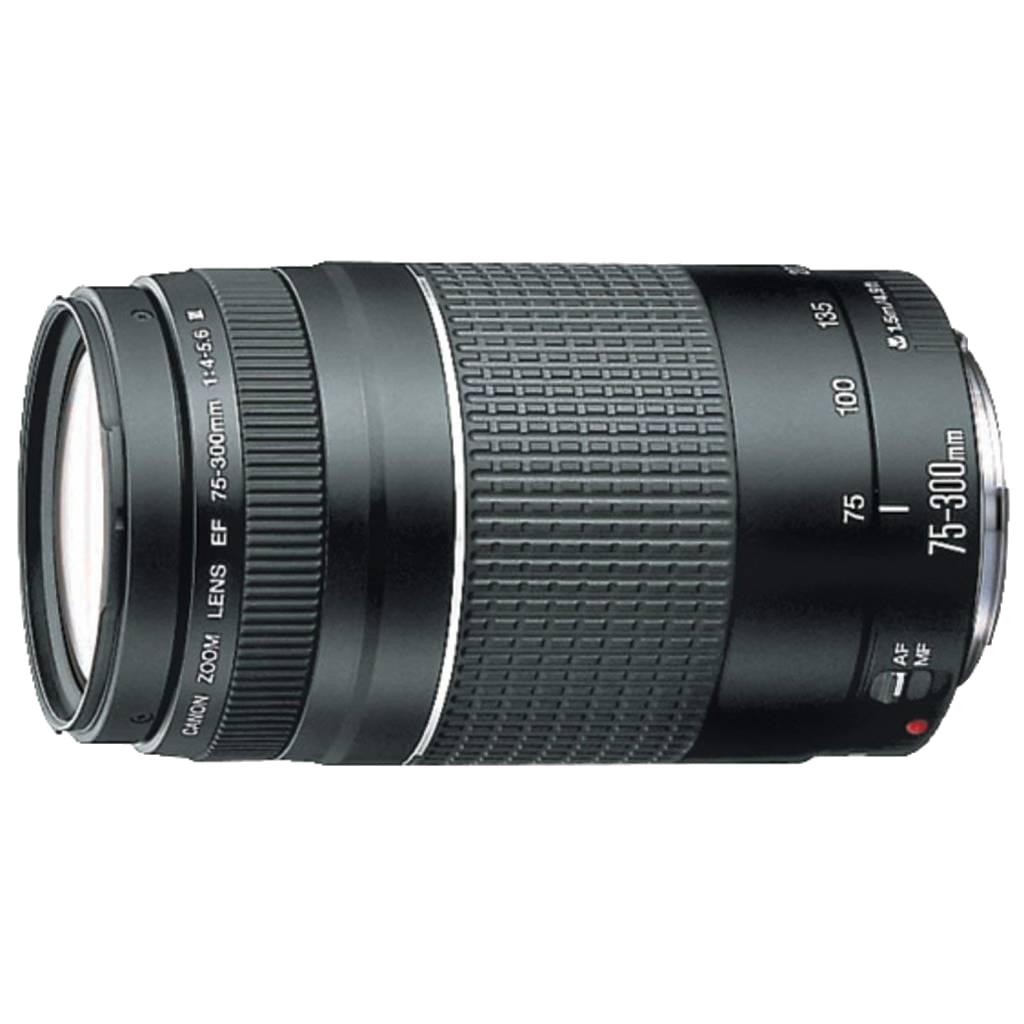 Canon EF 75-300mm F/4-5.6 III