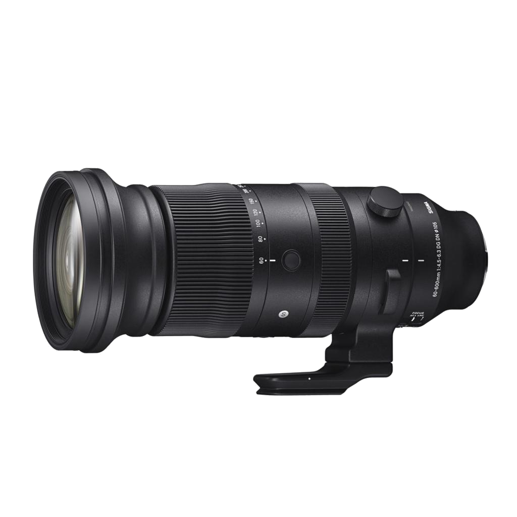 Sigma 60-600mm F/4.5-6.3 Sports